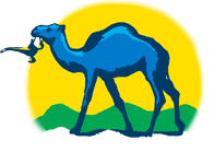 Marruecos ML Tours